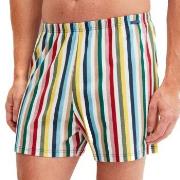Calida Prints Cotton Boxer Shorts Mixed Baumwolle Medium Herren