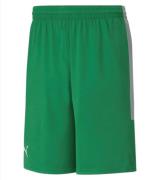 PUMA Basketball Game Herren Shorts mit Mesh-Einsätzen Trainings-Hose 6...