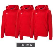 3er Pack PUMA teamGOAL 23 Casuals Kinder Hoody mit Kängurutasche Kapuz...