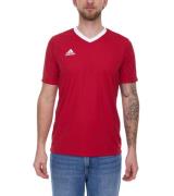 adidas Entrada 22 Herren Sport-Shirt nachhaltiges Trainings-Shirt mit ...