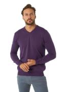 JIMMY SANDERS Strick-Pullover trendiger Herren V-Neck-Pullover Slim Fi...