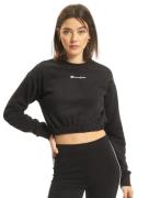 Champion Pullover schwarz