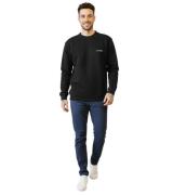 STONES Herren Basic-Pullover moderner Baumwoll-Sweater Sweatshirt mit ...
